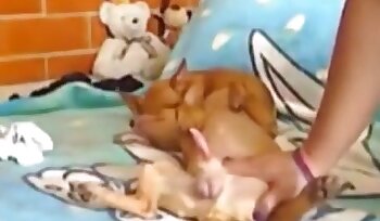 sex with animal,bestiality sex porn