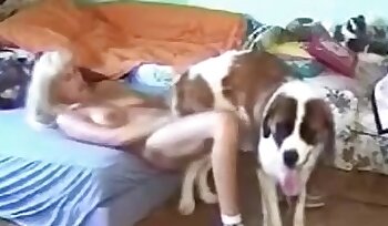 sexo com animal,vídeos pornográficos de zoológico