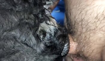 dierenpornofilm