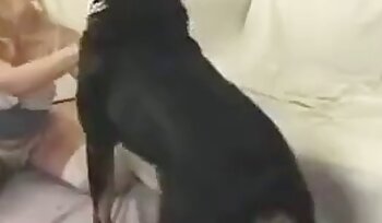 与狗一起做爱,动物园色情影片
