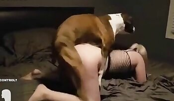porn with dog,zoo porn videos