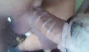 Sex mit Tieren,Porno mit Hund
