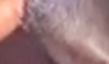 dyrehage porno videoer,bestialitetssexporno