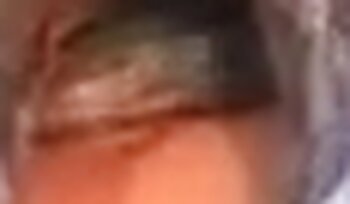 วิดีโอโป๊สวนสัตว์,หนังโป๊เซ็กส์แบบสัตว์
