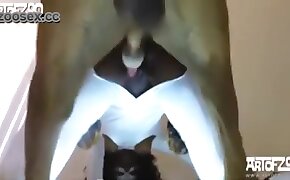 sex with animals, dog porn