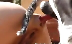 outdoors zoo porn, dog porn
