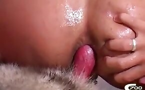 beastiality fucking, dog porn