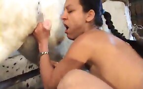 animal dick porn, cock sucking