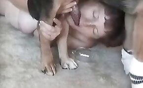 dog porn, sex with animals