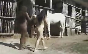 animal sex video, group bestiality