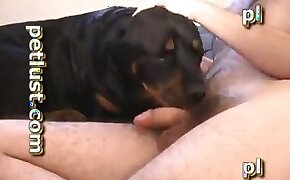intense, sex with animals