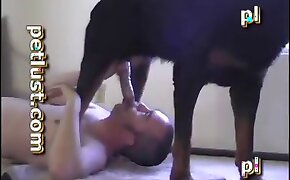 intense, sex with animals