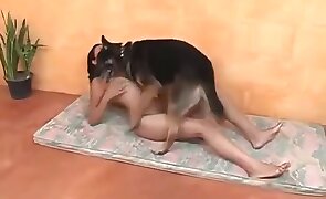 pussy fuck, dog sex