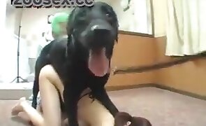 hardcore zoo porn, free animal porn