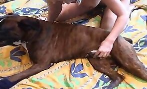 beastiality porn, hentai zoophilia