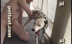 guy fucks animal, animal fuck porn