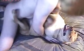 dog sex, animal fuck porn