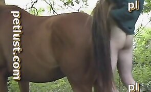 animal fucking, mare
