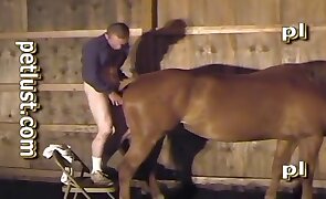 guy fucks animal, animal fuck porn