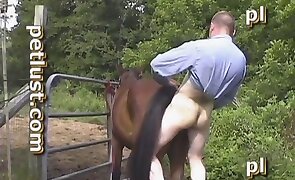 fisting, pony porn