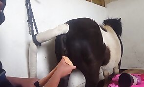 hardcore zoo porn, fisting