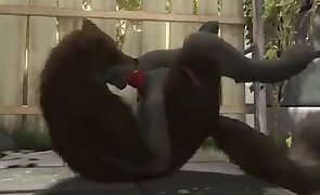 bestiality movies, porn with animals