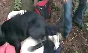 woman and animal, dog sex