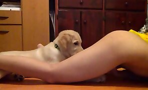 cunnilingus, girl fucks animal