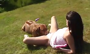 dog sex, sex with animals