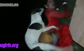 dog sex, animal fucking