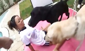 dog sex, beastiality porn