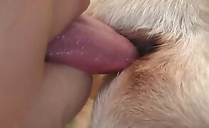 girl fucks animal, oral zoophilia