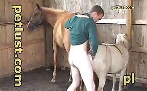 zoo fuck porn, animal porn