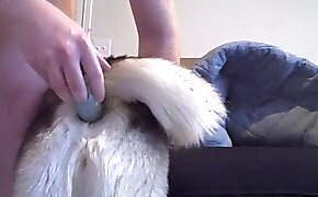 role-play, animal porn