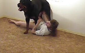 rottweiler, walk