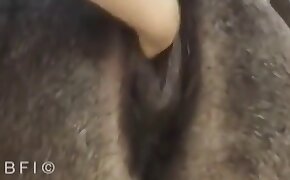 zoo porn videos, sex with animal
