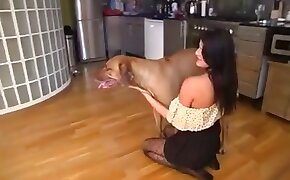 blonde, woman and animal