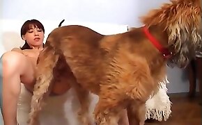 sex with animal, dog porn