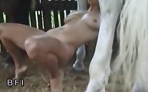 sex with animal, dog porn