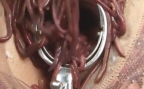 beastiality videos,zoo porn videos