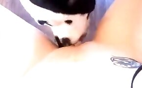 dog porn,girls fuck animals