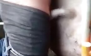 beastiality videos,zoo fuck porn