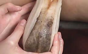 fish,beastiality videos