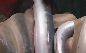 beastiality videos,zoo porn videos