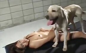 beastiality videos,animal porn