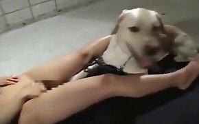 videos de bestialidad,porno con animales