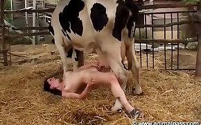 eläinperäisyyden videoita,eläintarhan pornovideoita
