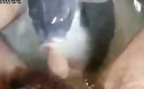 fish,dog porn