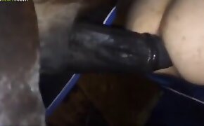 兽性视频,同性恋恋兽癖