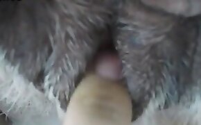 公鸡,马性